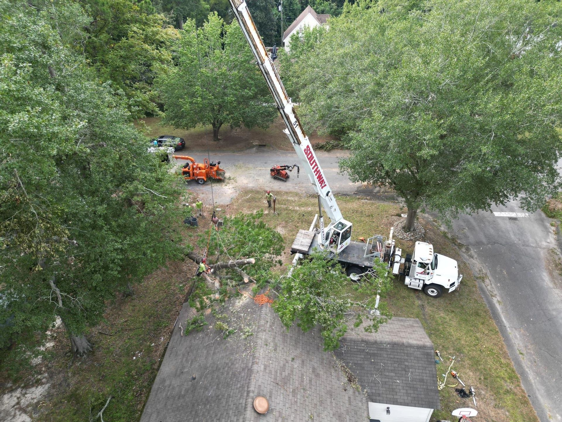 Canopy Tree Service — Bold Outdoor variant